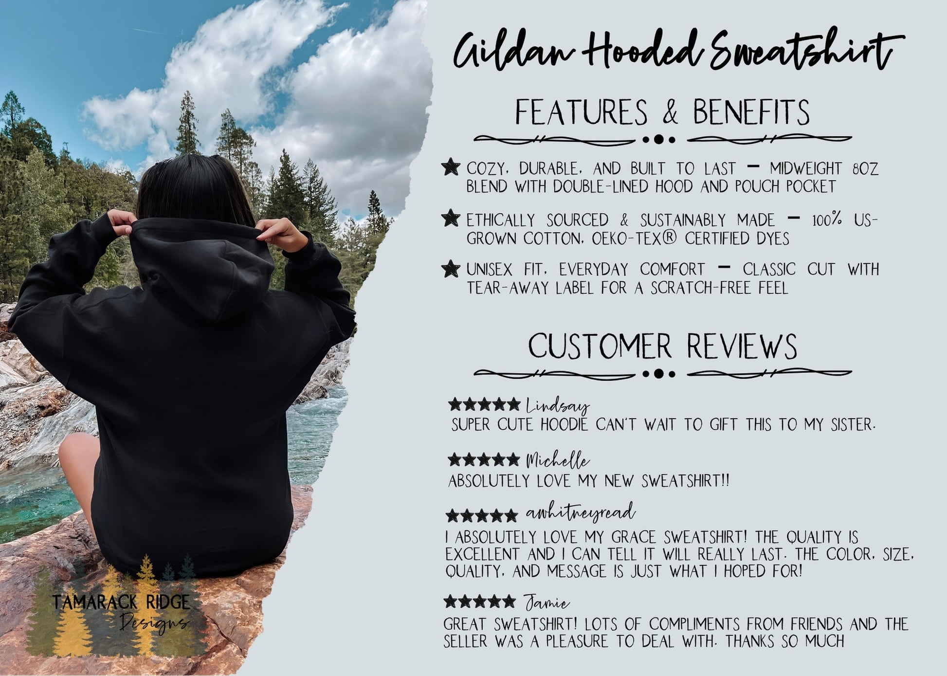 National Parks Resist Unisex Hoodie Hands Off Protect Our Parks National Park Hoodie Protect Our National Parks Hiking Preserve the Parks