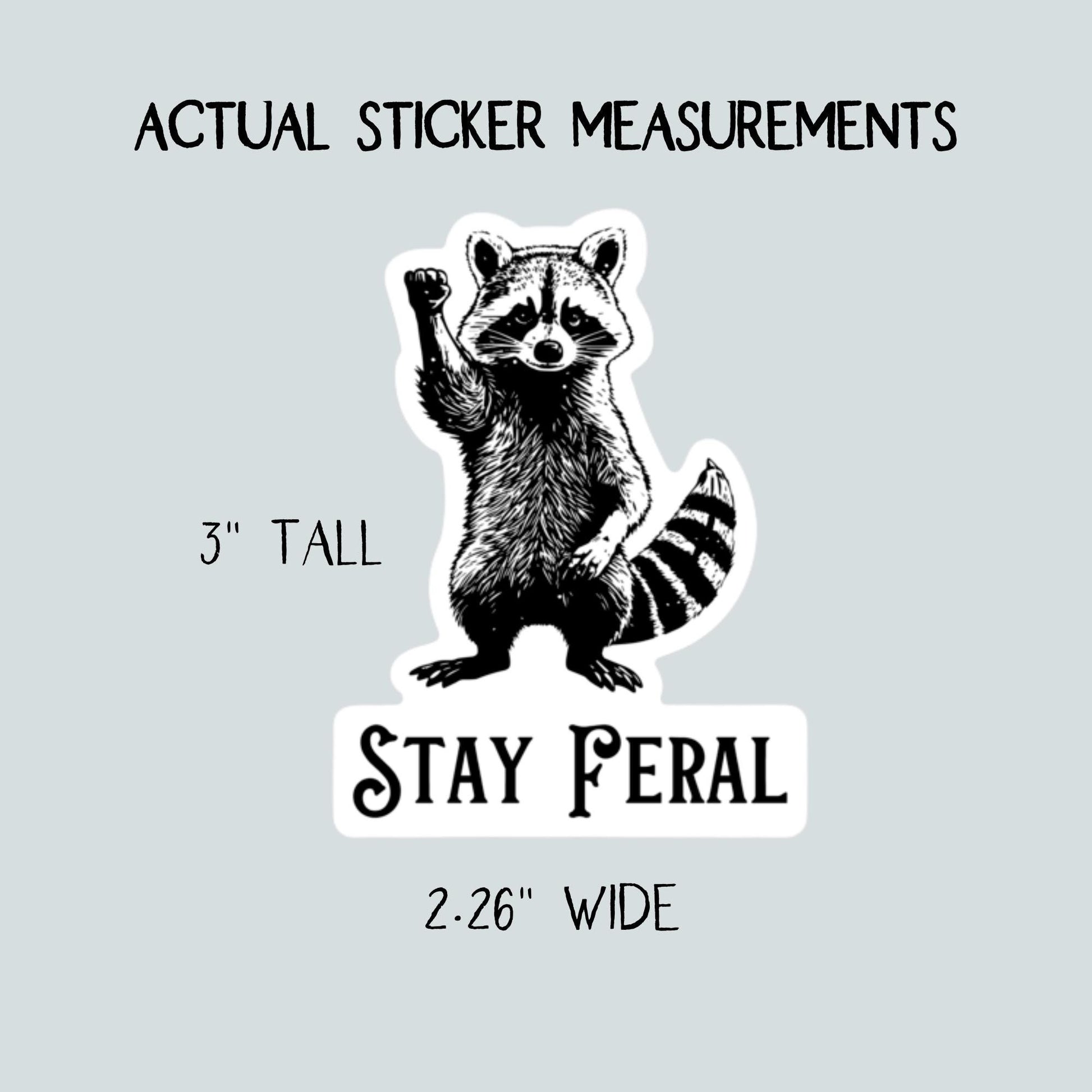 Stay Feral Sticker Raccoon Die Cut Sticker