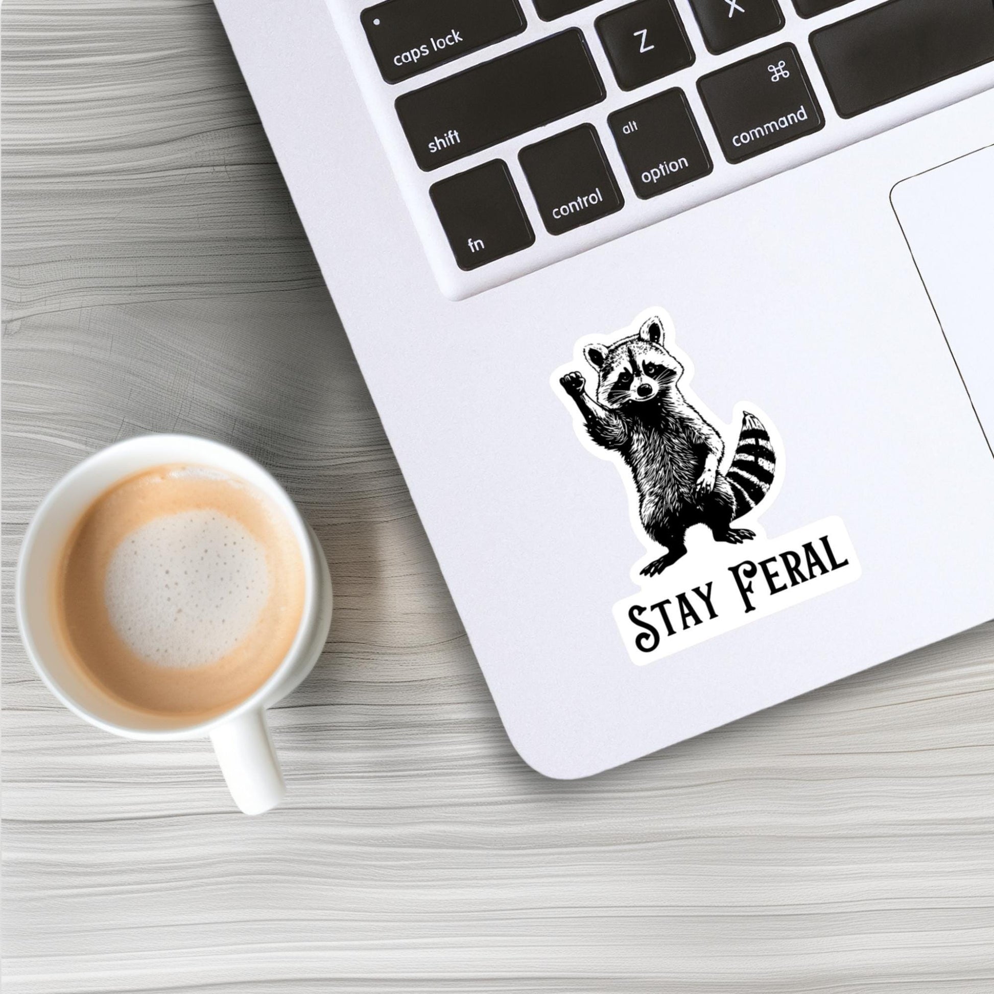 Stay Feral Sticker Raccoon Die Cut Sticker